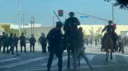 lapd horse police_thumb.jpg
