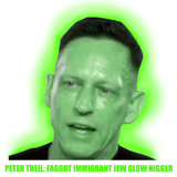 Peter Thiel Gay Immigrant CIA Snitch