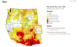 Drought