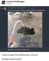 1000011497