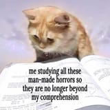 1742779954575255