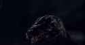 g1985 eye_thumb.jpg