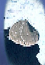 Screenshot From 2025-06-12 10-30-33