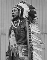 Nativeswastika