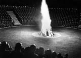 Nazi-bonfire-ceremony-night-scaled