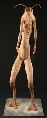 wormguy