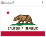 chinese premiere chadvin newchink posts california republic flag on twitter
