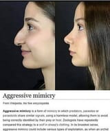 aggressive_mimicry_001