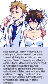 4chan post tomboys marry civil rights sex cheer