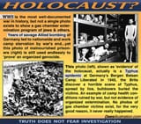 holocaust typhus