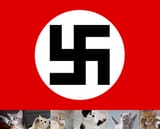 HH