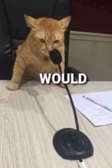 would2