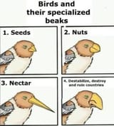 1749728495909913 beaks