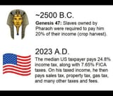 taxes