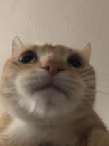 1736540845428323