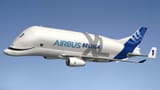 belugaxl-3