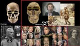 neanderkikes3
