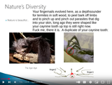 your_fingernails_and_finger_length_evolved_here_as_a_termite_depthsounder_for_hollow_logs