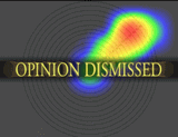 opinion