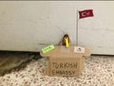 turkpost