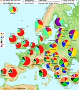 based-on-haplogroups-1
