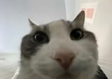 12351263472548438
