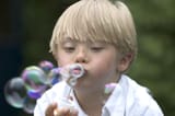 tard-bubbles