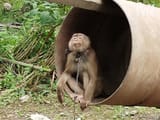 IMG_165251-scaled