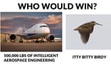 BIRD-VS-PLANE