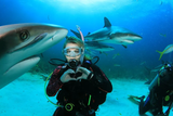 oshark-love