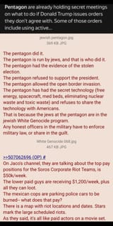 White Genocide 071