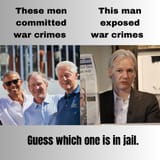 assange