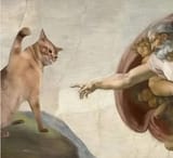 Cats say fuck god