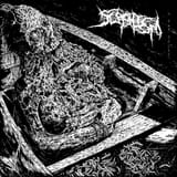 scaph