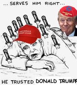 trust trump