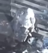 firefox_0qvegGsM7T