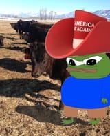 puterhat