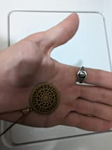 1695951143501537