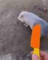 1672642779415504_thumb.jpg