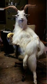 Goatposting