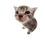 1749746274973287