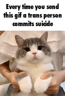 1732121038360113