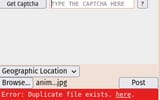 dupe file