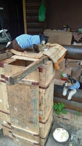 IMG_20240116_173642_350