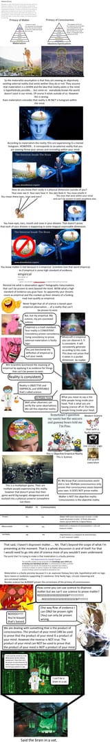 Primacy of Consciousness 1