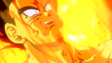 vegetafire