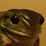 1751624438030768