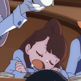 4179-akko-plant