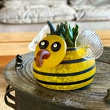 Buzz-Z