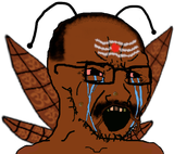 1731074763261355